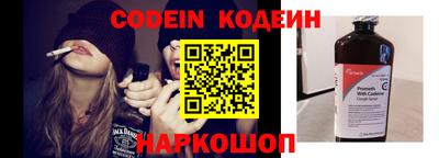 индика Обнинск