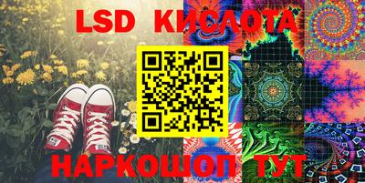 индика Обнинск