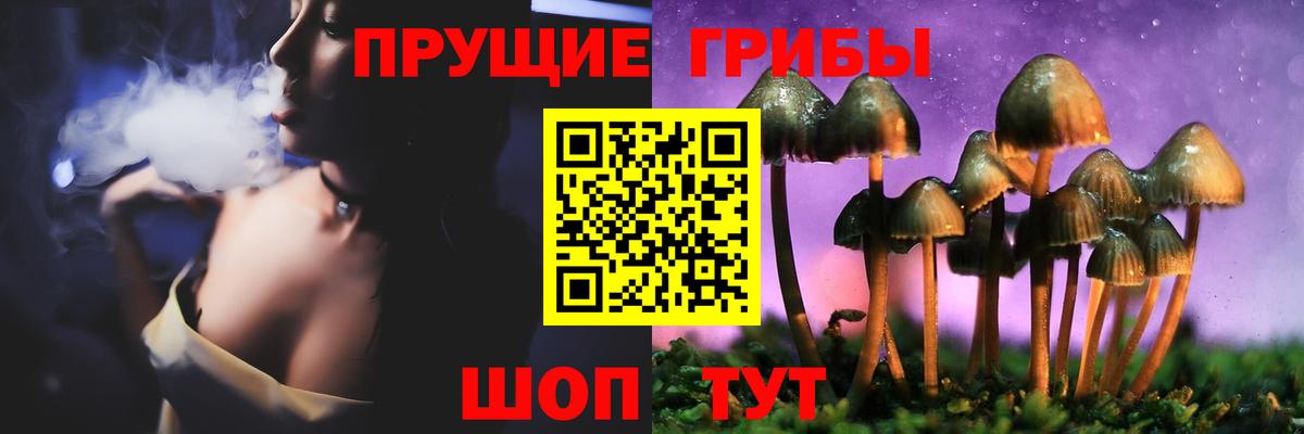 Краснокаменск  Псилоцибиновые грибы Psilocybe  Псилоцибиновые грибы мицелий  Вход с VPN 